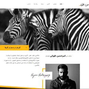 طراحی سایت عکاسی
